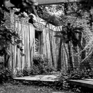 Workshop: Basisfotografie - 1 losse les (4u)