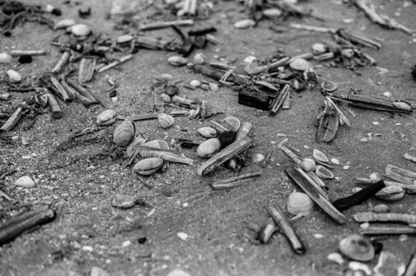 De Panne - Afbeelding 3